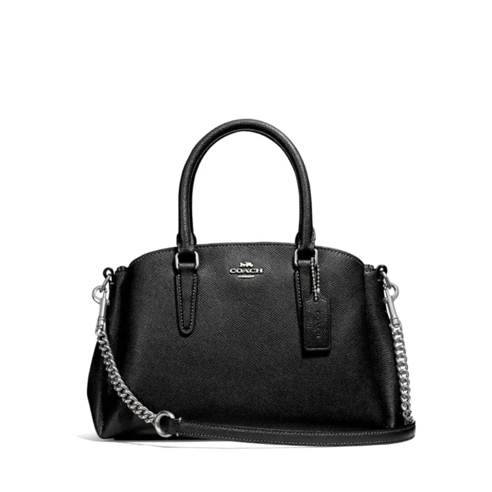 Coach Mini Sage Carryall